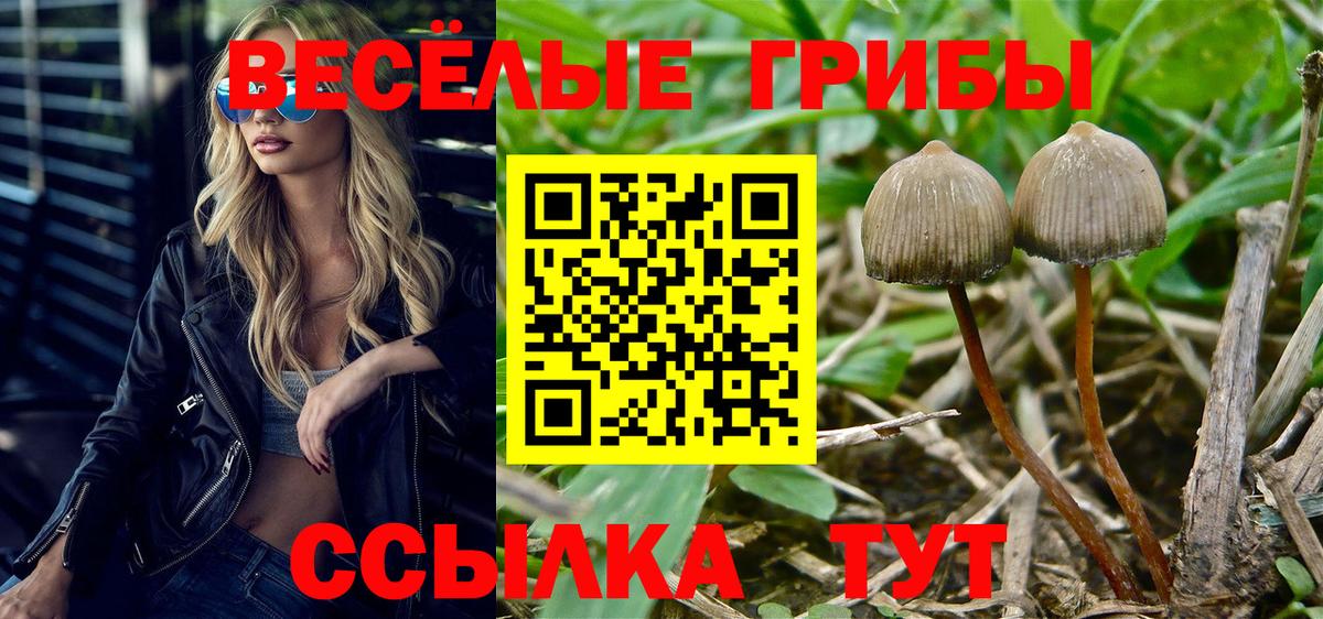 Псилоцибиновые грибы GOLDEN TEACHER  Вход с VPN  Шелехов 