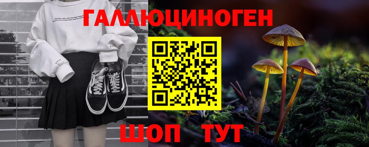 Псилоцибиновые грибы прущие грибы Шелехов